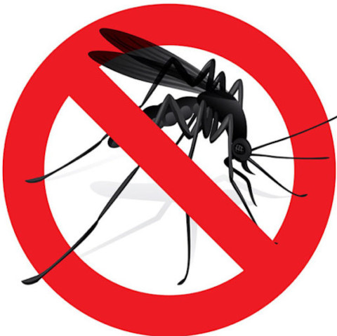 mosquito control
